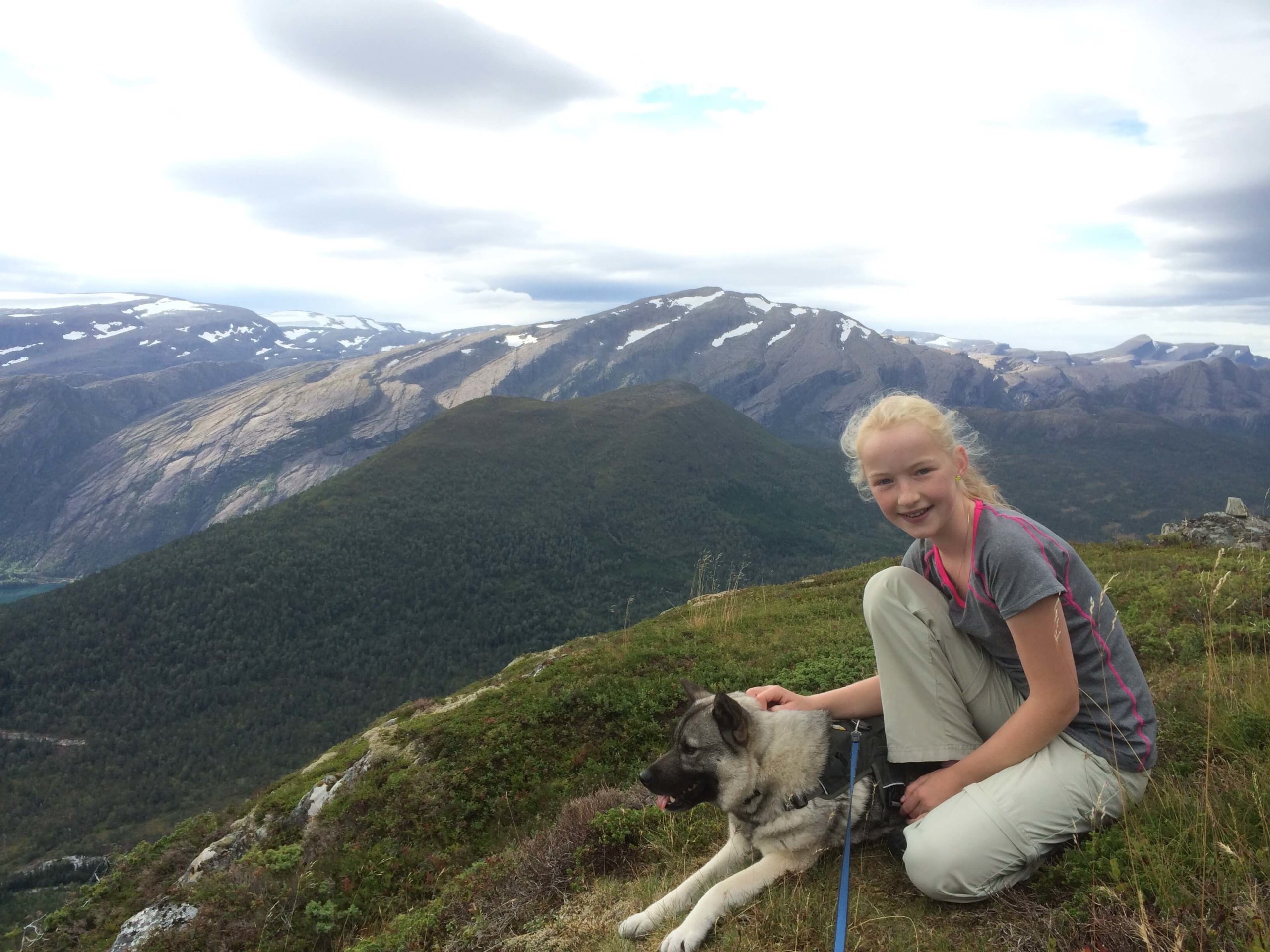 Jente og elghund på fjellet i Ålfoten Nordfjord(2)